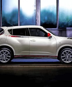White Nissan Juke Car Paint By Numbers