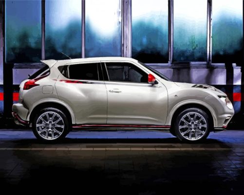 White Nissan Juke Car Paint By Numbers