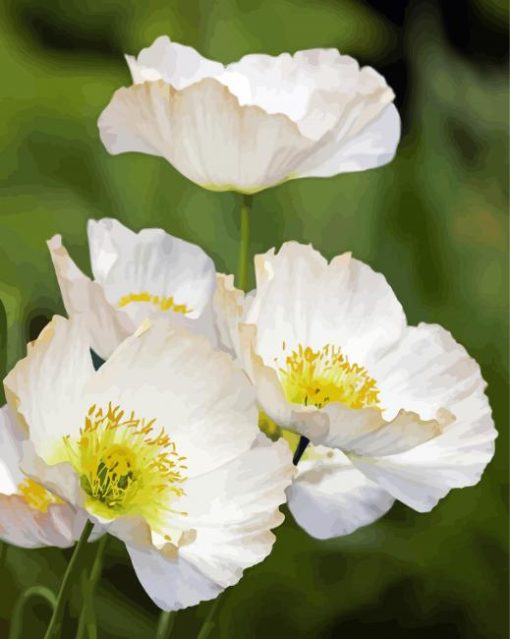 White Poppies Flowering Plants Paint By Numbers