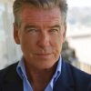 Actor Pierce Brosnan Paint By Numbers