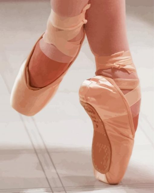 Ballerina Shoe Paint By Numbers