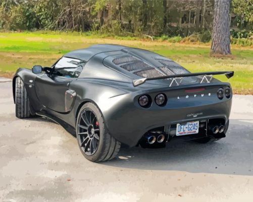 Black Lotus Elise Paint By Numbers