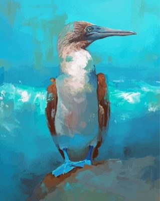 Blue Footed Boobie Bird Art Paint By Numbers