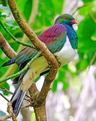 Colorful Kereru Bird Paint By Numbers