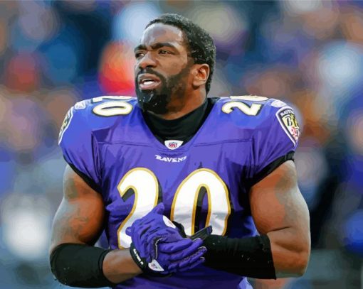 Ed Reed Paint By Numbers