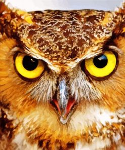 Fierce Owl Paint By Numbers
