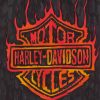 Fire Harley Davidson Logo Art Paint By Numbers