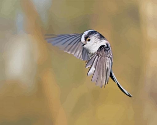 Flying Long Tailed Tit Paint By Numbers