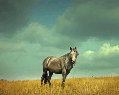 Grey Alone Horse Paint By Numbers