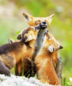 Happy Fox Family Paint By Numbers