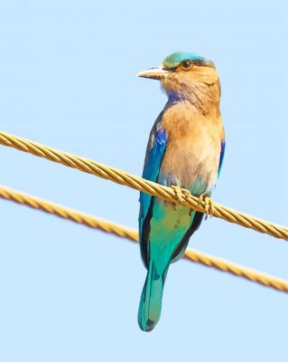 Indian Roller Paint By Numbers