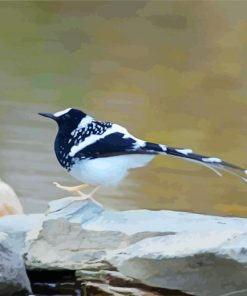 Lonely Forktail Paint By Numbers