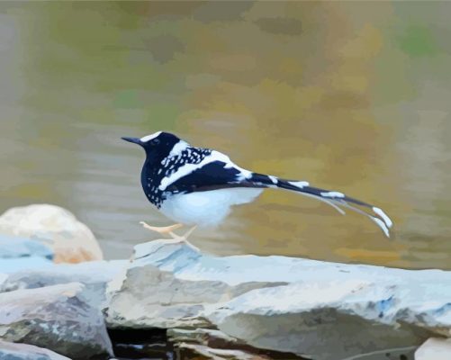 Lonely Forktail Paint By Numbers