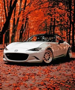 Miata In Fall Forest Paint By Numbers