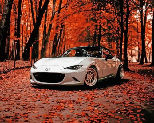 Miata In Fall Forest Paint By Numbers