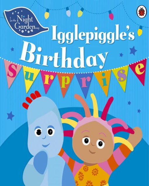 Night Garden Igglepiggle Birthday Paint By Numbers