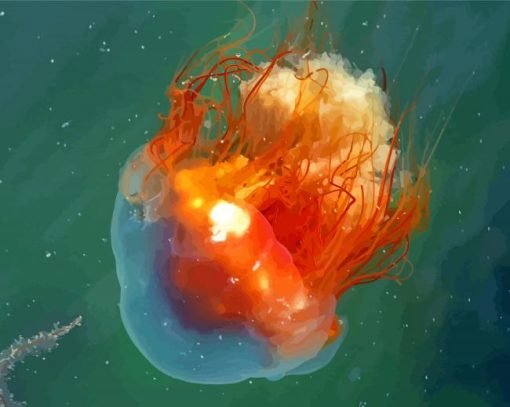 Orange Big Jellyfish Paint By Numbers