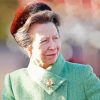 Princess Anne Paint By Numbers