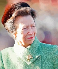 Princess Anne Paint By Numbers