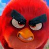 Red Angry Bird Paint By Numbers