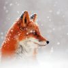 Side Profile Fox In Snow Paint By Numbers