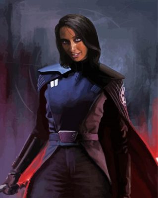 Star Wars Second Sister Paint By Numbers