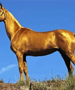 Turkish Golden Mare Horse Paint By Numbers