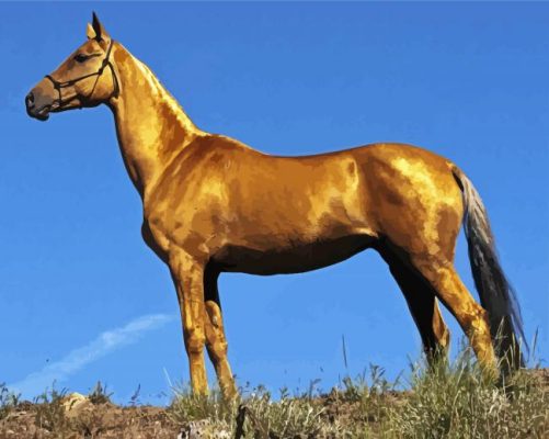 Turkish Golden Mare Horse Paint By Numbers