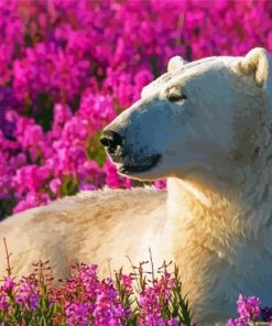 White Bear In Flowers Field Paint By Numbers