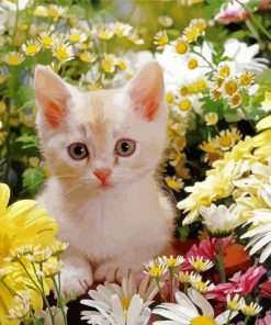 White Cat And Flowers Paint By Numbers