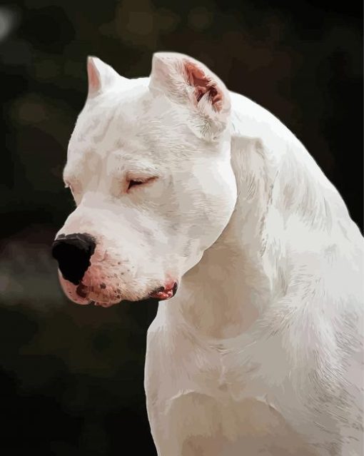 White Dogo Dog Paint By Numbers