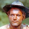 Young Terence Hill Paint By Numbers