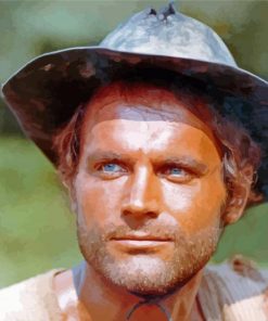 Young Terence Hill Paint By Numbers