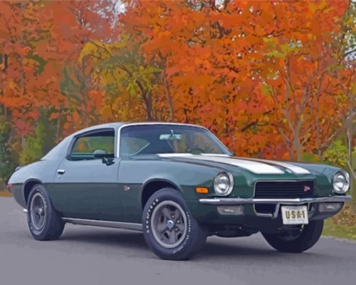 1970 Camaro Paint By Numbers