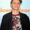 Actor Jace Norman Paint By Numbers