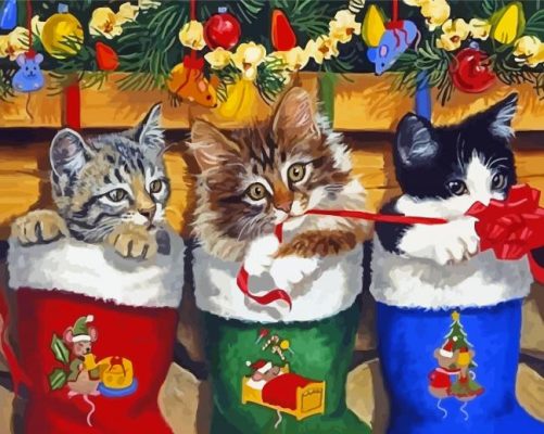 Adorable Cats In Stockings Paint By Numbers