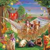 Animals In The Garden Paint By Numbers