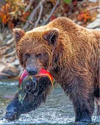 Bear Fishing Red Fish Paint By Numbers