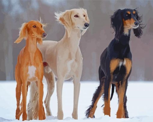 Black Beige And White Saluki Dog Paint By Numbers