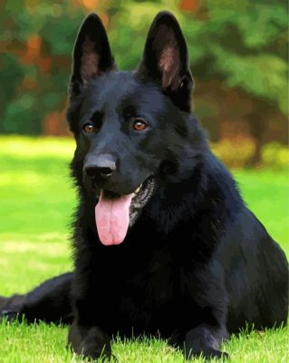 Black German Shepherd Sitting Paint By Numbers