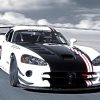 Black And White Dodge Viper Paint By Numbers
