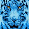 Blue Tiger Head Art Paint By Numbers
