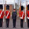 British Grenadier Guards At Windsor Castle Paint By Numbers