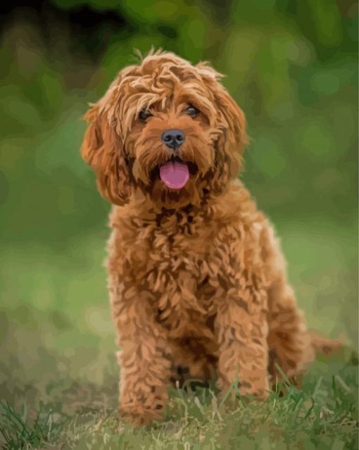 Brown Cockapoodle Dog Paint By Numbers