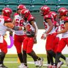 Calgary Stampeders Players Paint By Numbers