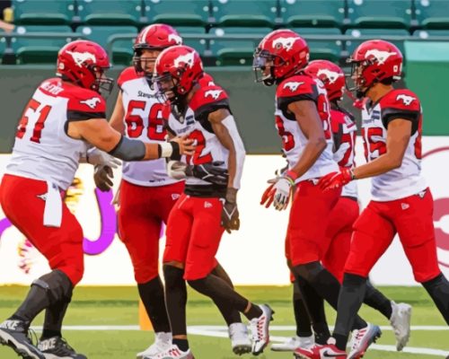 Calgary Stampeders Players Paint By Numbers