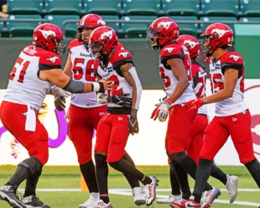 Calgary Stampeders Players Paint By Numbers