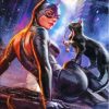 Cat And Catwoman Paint By Numbers