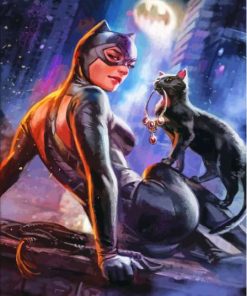 Cat And Catwoman Paint By Numbers