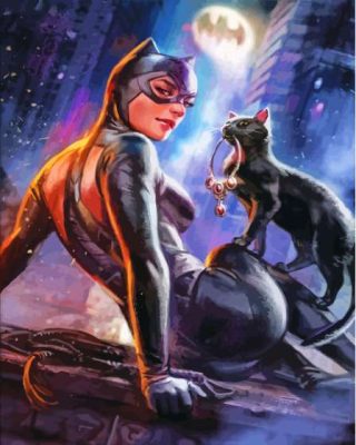 Cat And Catwoman Paint By Numbers